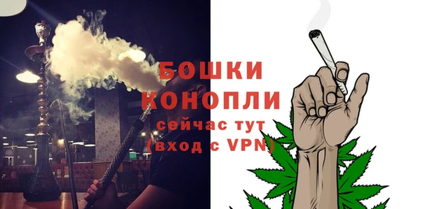 прущие грибы Белокуриха