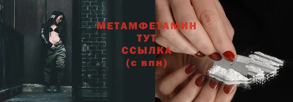 прущие грибы Белокуриха