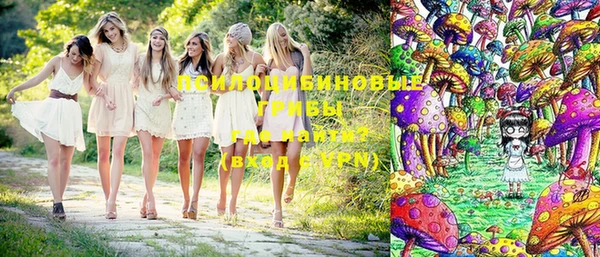 прущие грибы Белокуриха