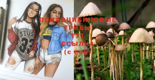 спиды Беломорск