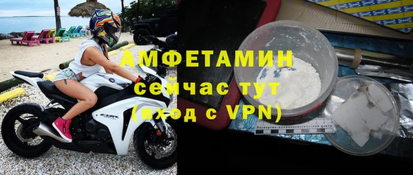 прущие грибы Белокуриха