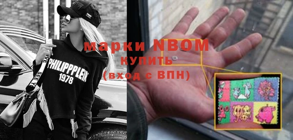 прущие грибы Белокуриха
