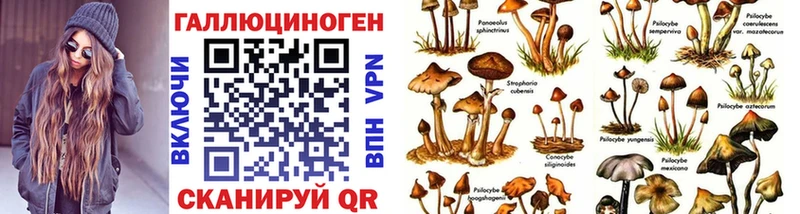 Псилоцибиновые грибы мухоморы  где купить наркоту  Кукмор 